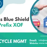Blue Cross Blue Shield BCBS Prefix XOF
