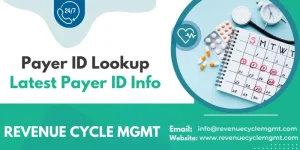 Payer ID Lookup